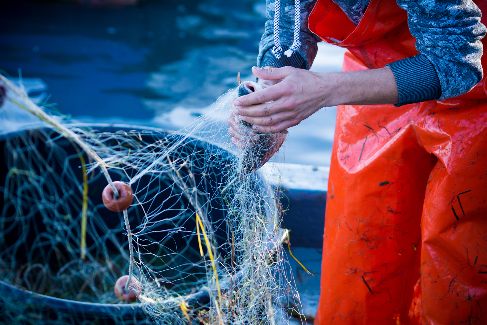 It's in our hands: Sustainable fishing nets